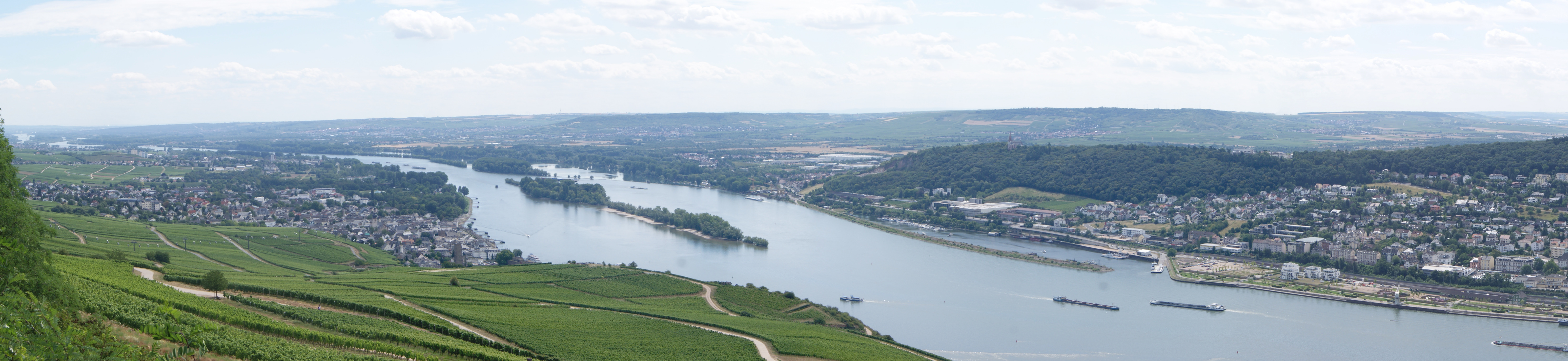 Rheingau-panorama
